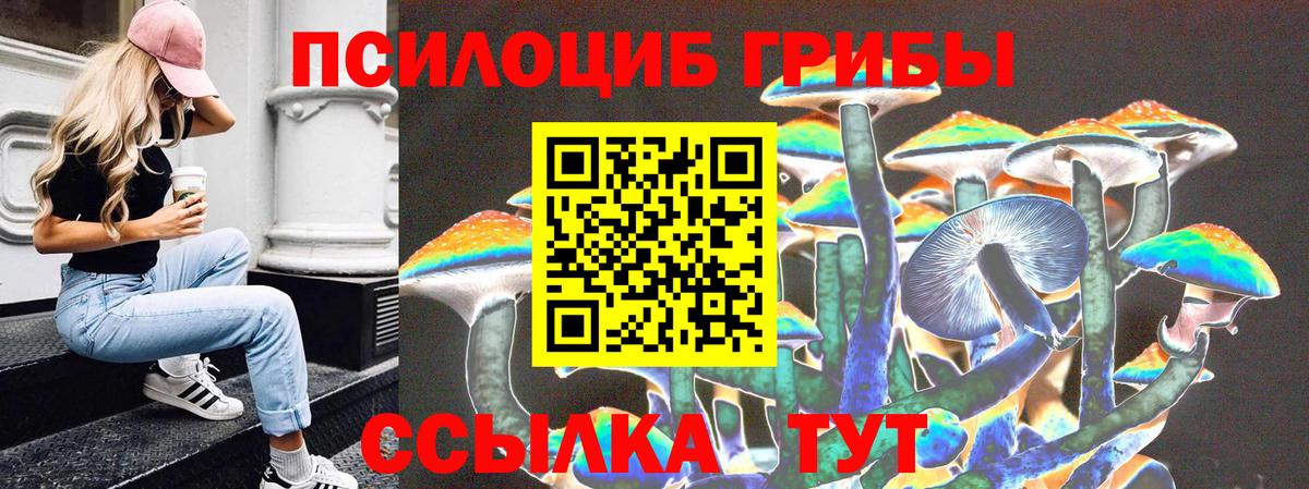 Галлюциногенные грибы Psilocybe Новосибирск